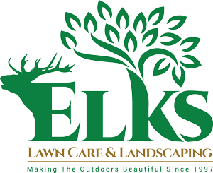 lawn fertilizing company lawn fertilizer New Bern NC lawn fertilization services 